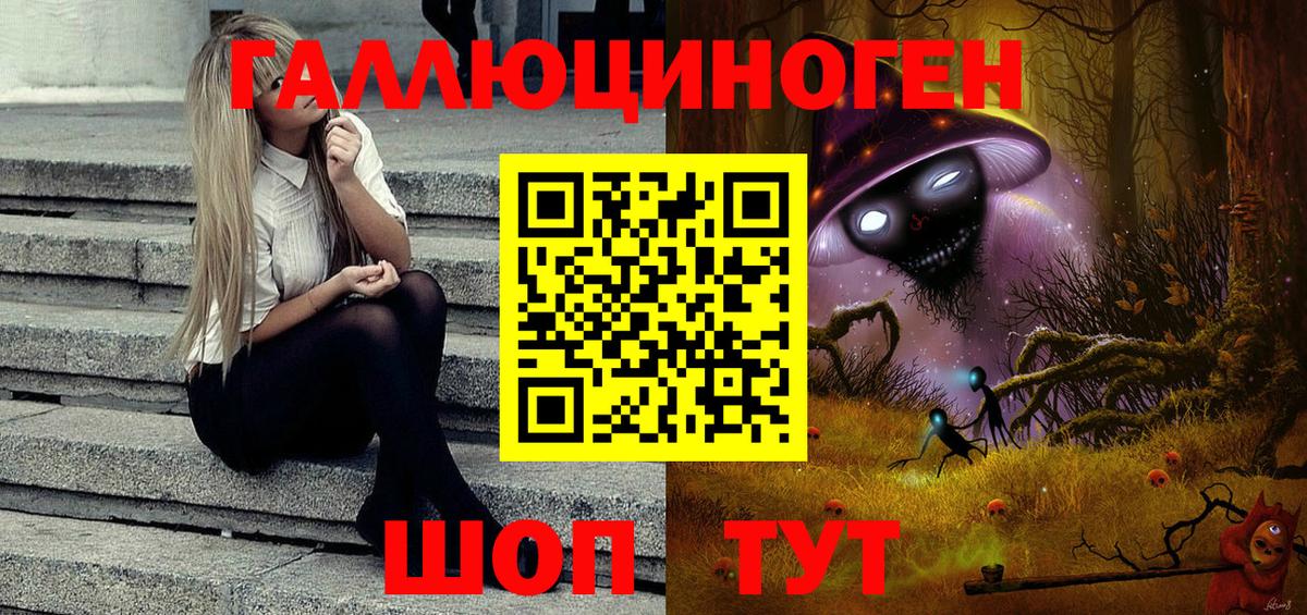Псилоцибиновые грибы Psilocybe Павлово