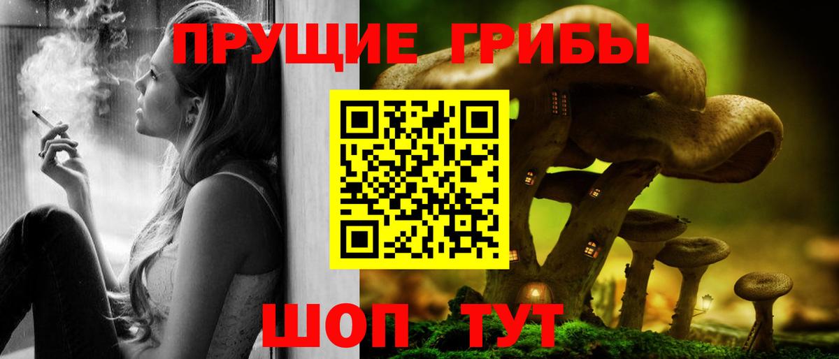 Псилоцибиновые грибы Psilocybine cubensis  Галлюциногенные грибы мицелий  Павлово  Вход с VPN 