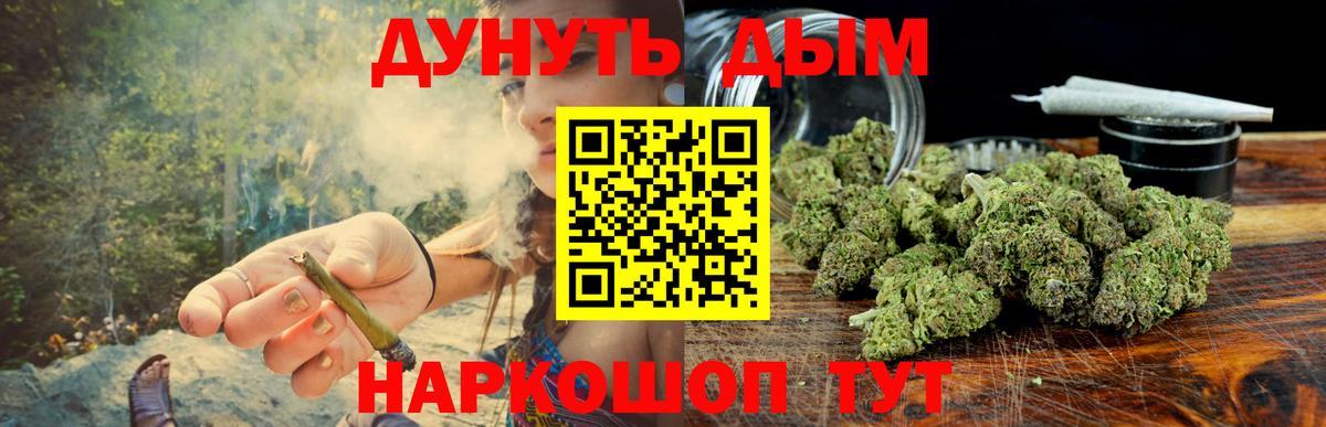 МАРИХУАНА сатива Павлово